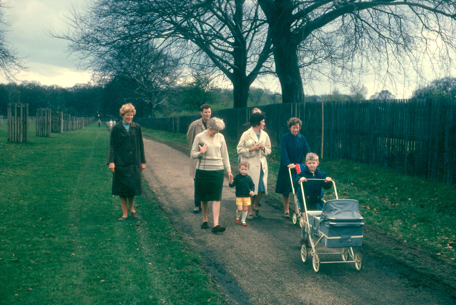 6501107k Christmas 1965 - A family walk in Bushy Park. Frances, Anthony, Mum with Simon, Betty with Dad behind, Jean and Peter pushing Jonathan in the carry cot.