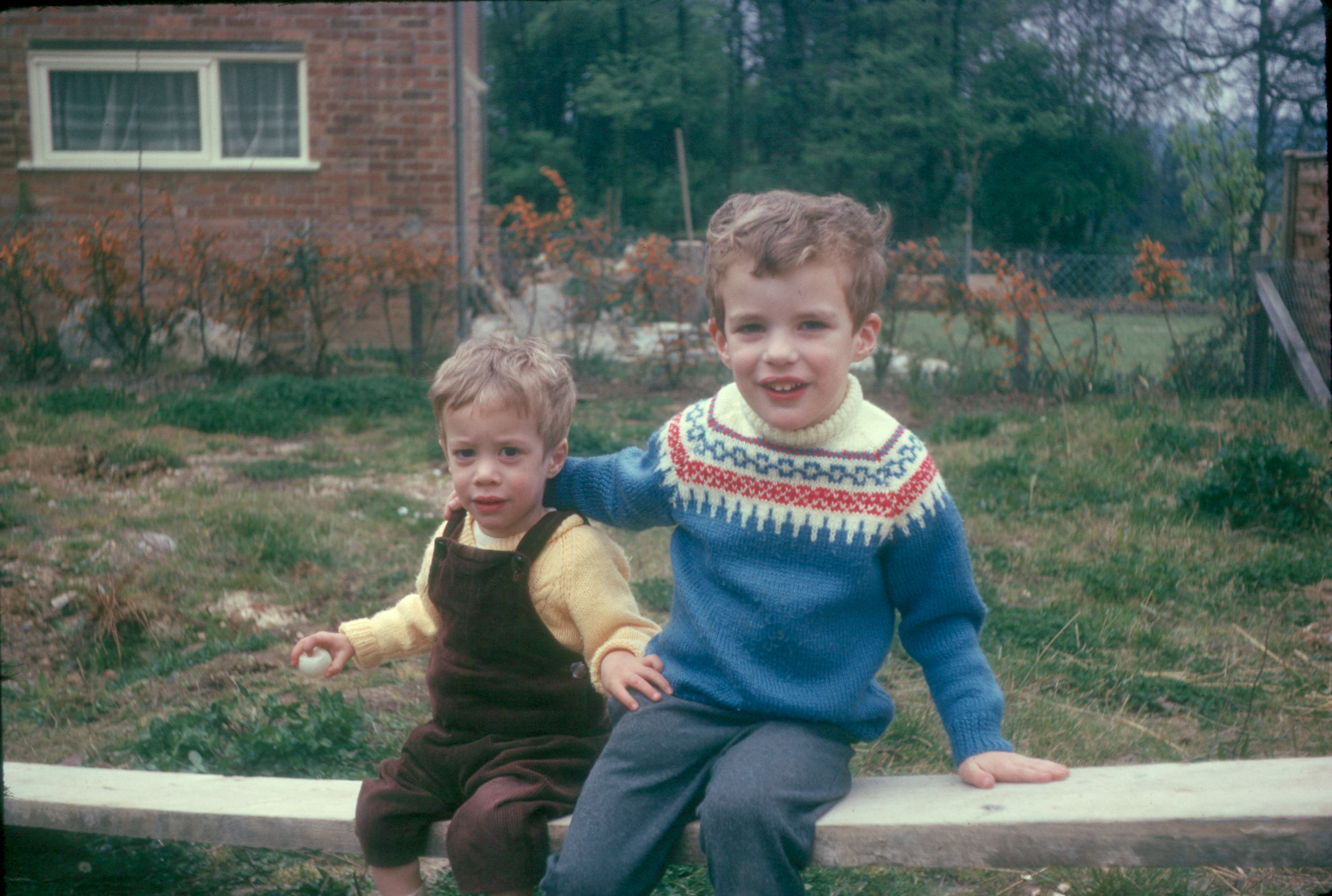 6701214k Spring 1967 - We moved to Bracknell on 14 October 1966. Here Jonathan and Simon are sitting on a plank in the garden in early Spring 1967 (See the berberis darwinii in flower at the bottom of the garden!)