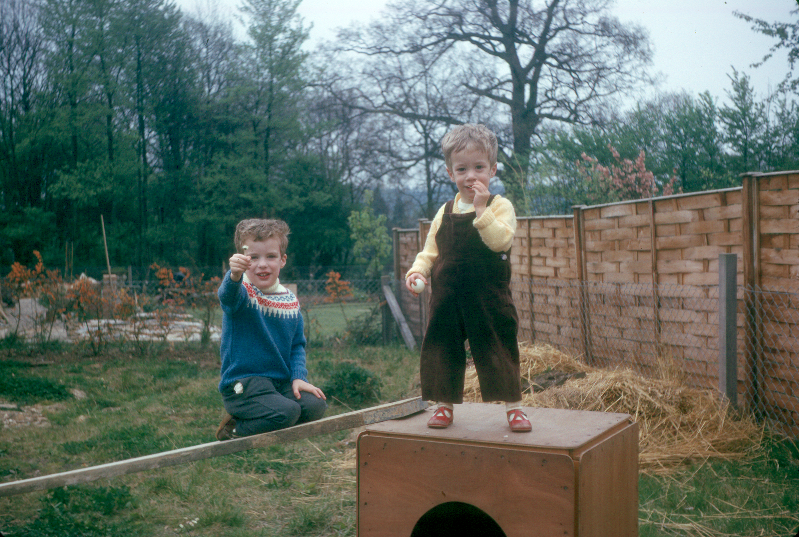 6701216k Spring 1967 - Simon and Jonathan in the garden at Bracknell.