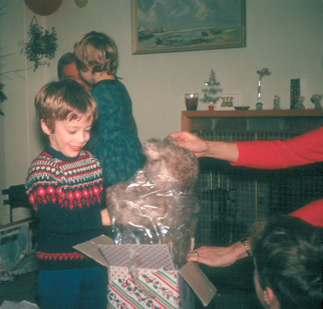6801825k Christmas 1968 - Jonathan unwraps his longed for Christmas present at Hampton (with a bit of help from Betty!)