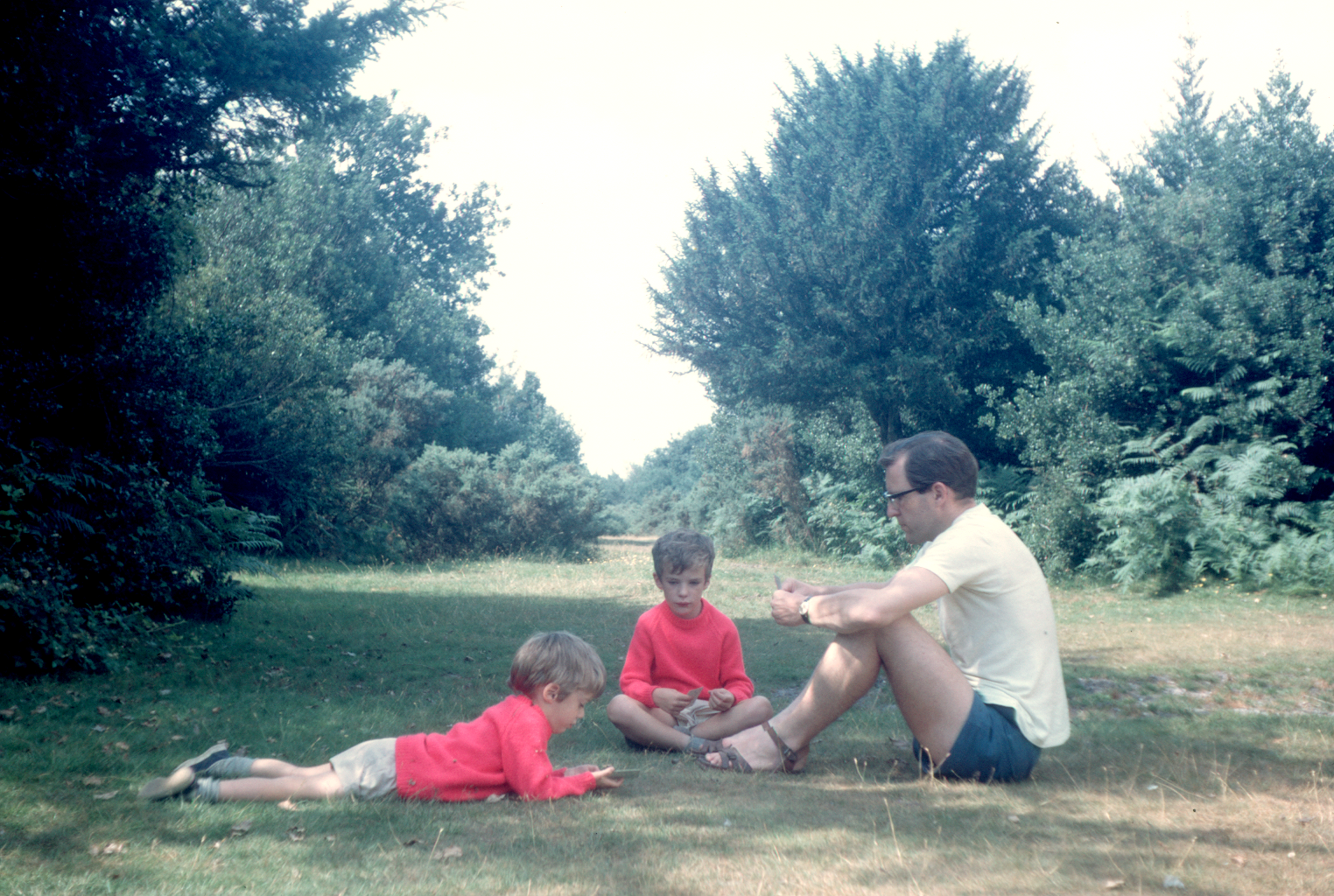 6901907k June 1969 - Malcolm playing cards with the boys in the New Forest.