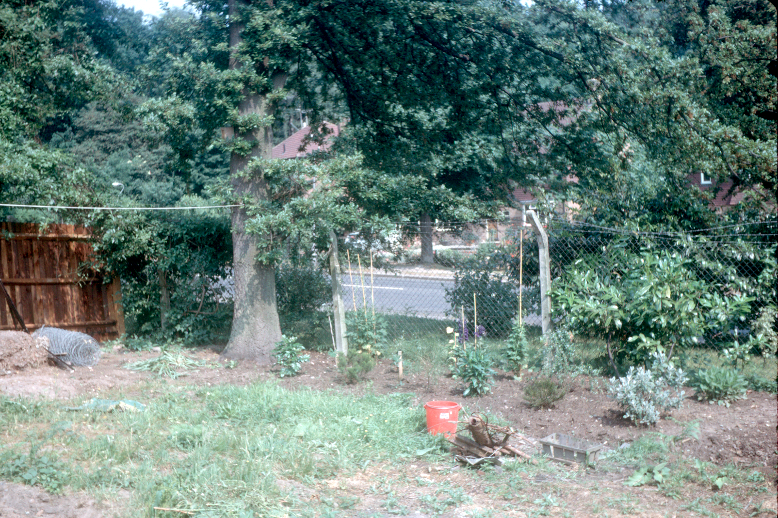 7001926k May 1970 - The chain link fence on the left was replaced by a proper wooden one, and the bed at the bottom was planted.