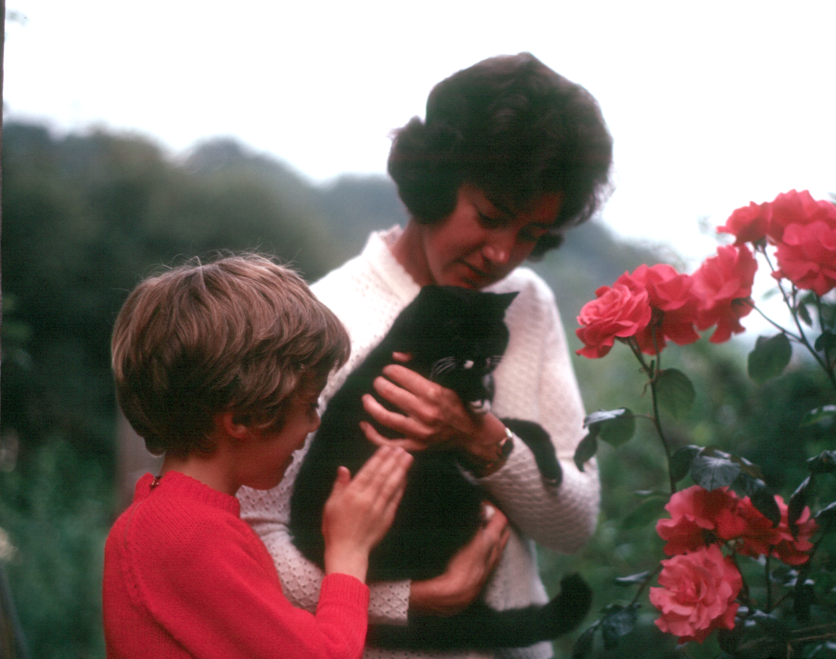 7203220k August 1972 - Elizabeth & Jonathan showing Koshka the roses.