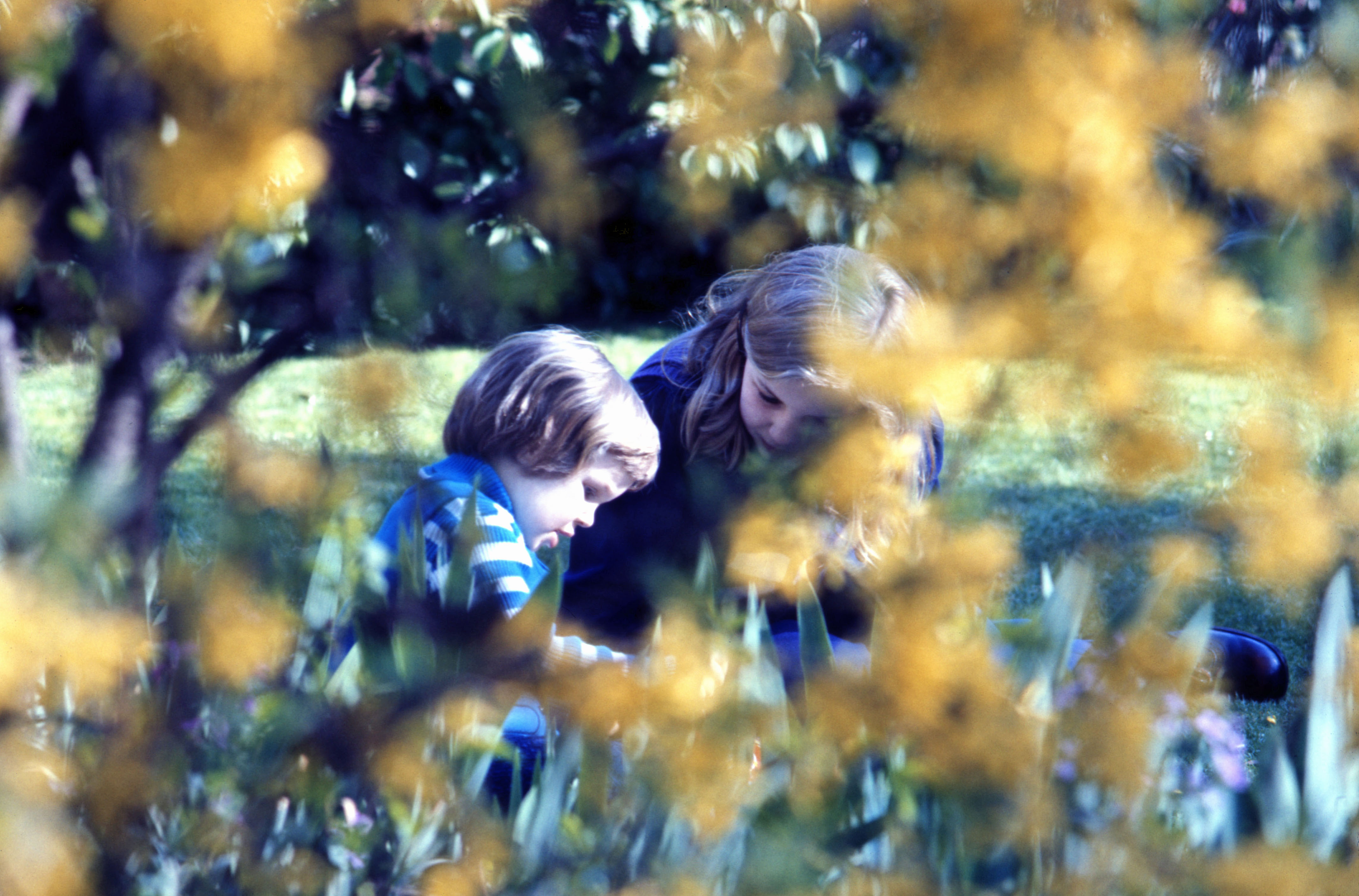7404220 June 1974 - Susan and Nicola at the bottom of the garden at Hampton.