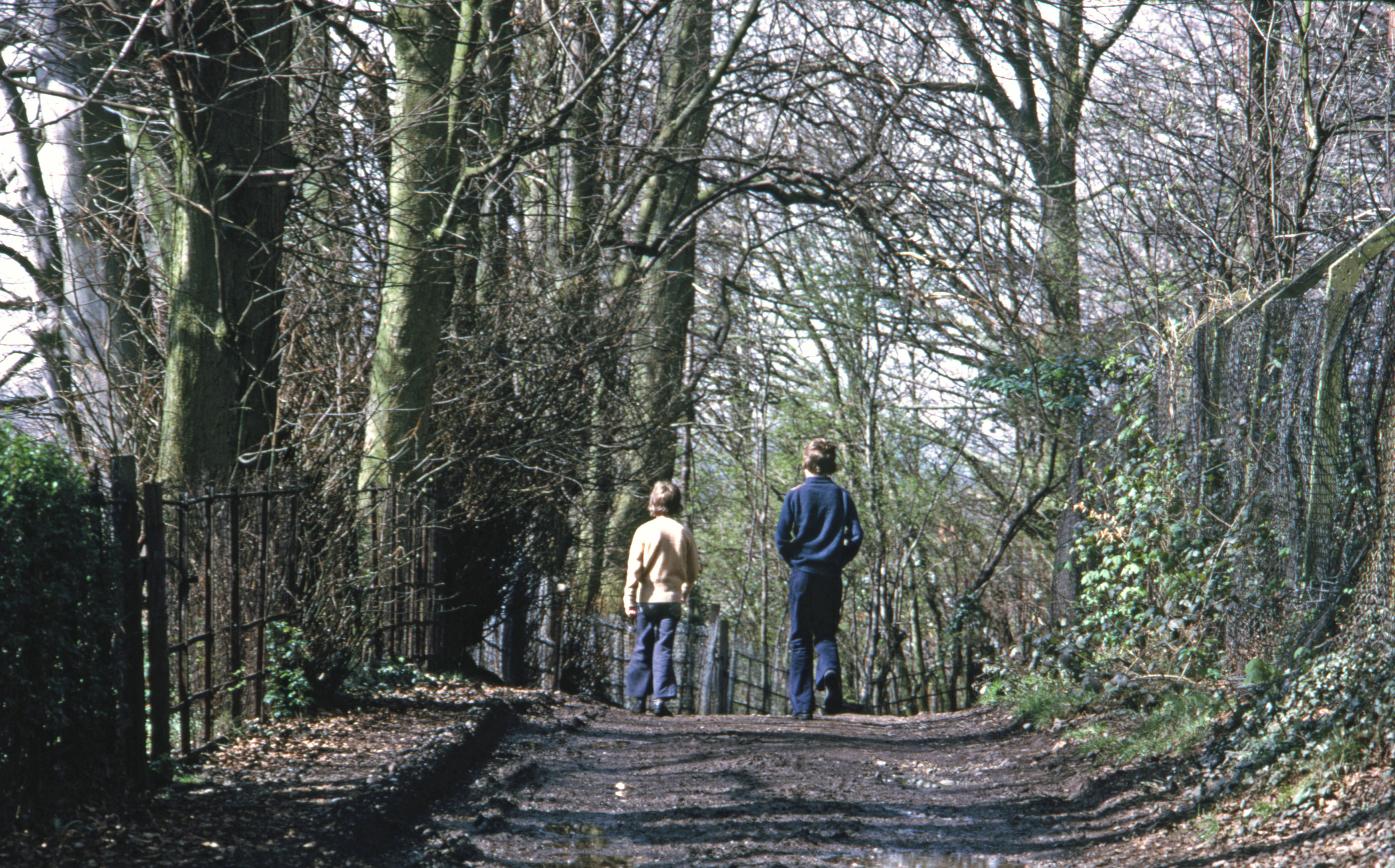 7504726 March 1975 - Simon and Jon go for a walk along Ballards Farm Road near home.