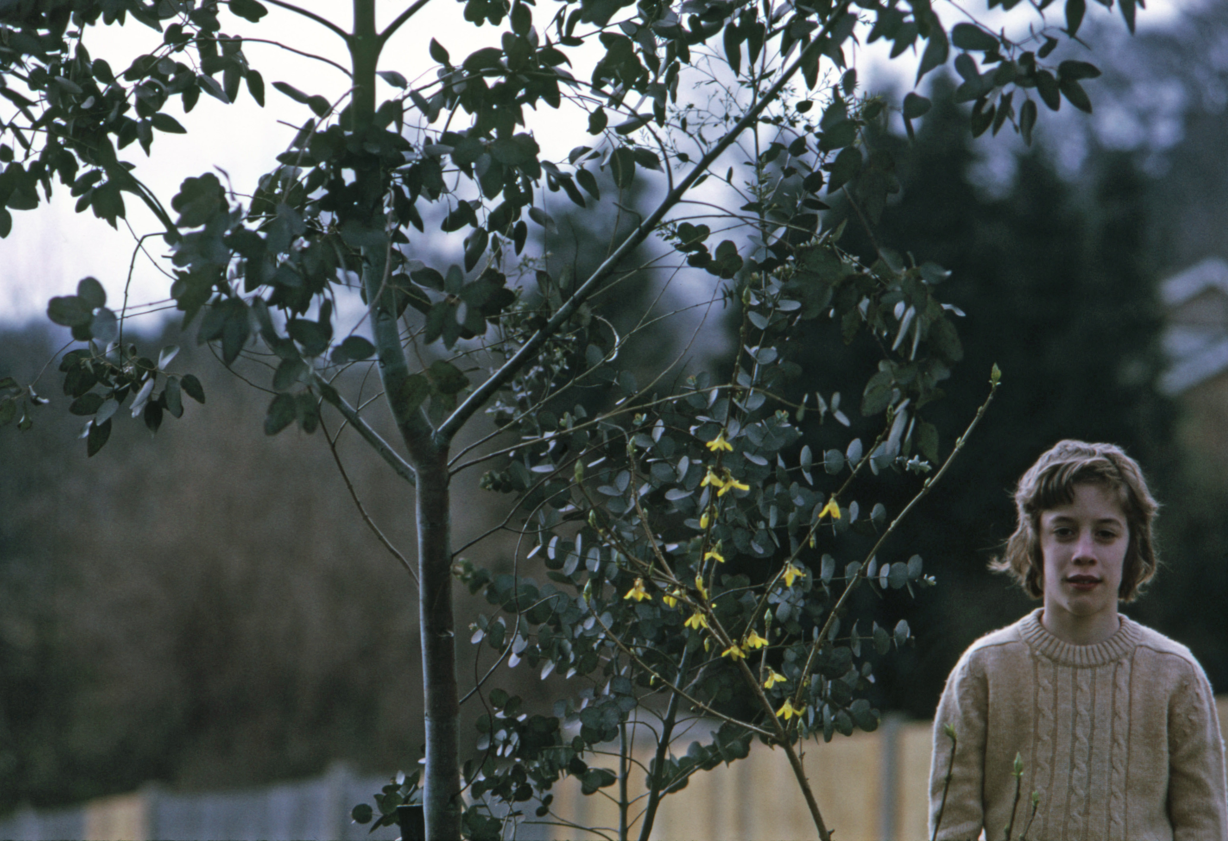 7504733 March 1975 - Jon in the front garden