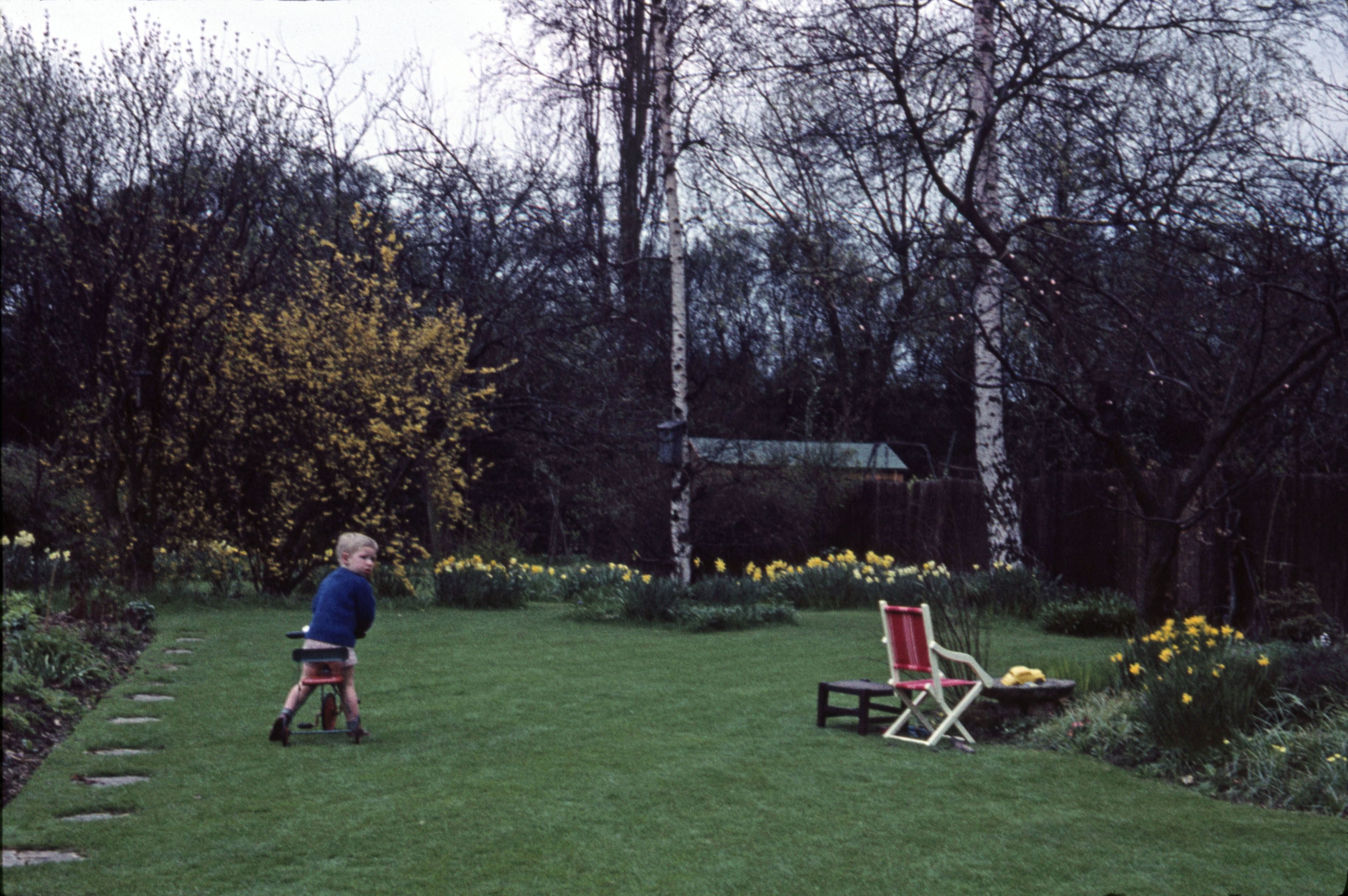 Easter 1962 Peter in the garden at Hampton in Spring