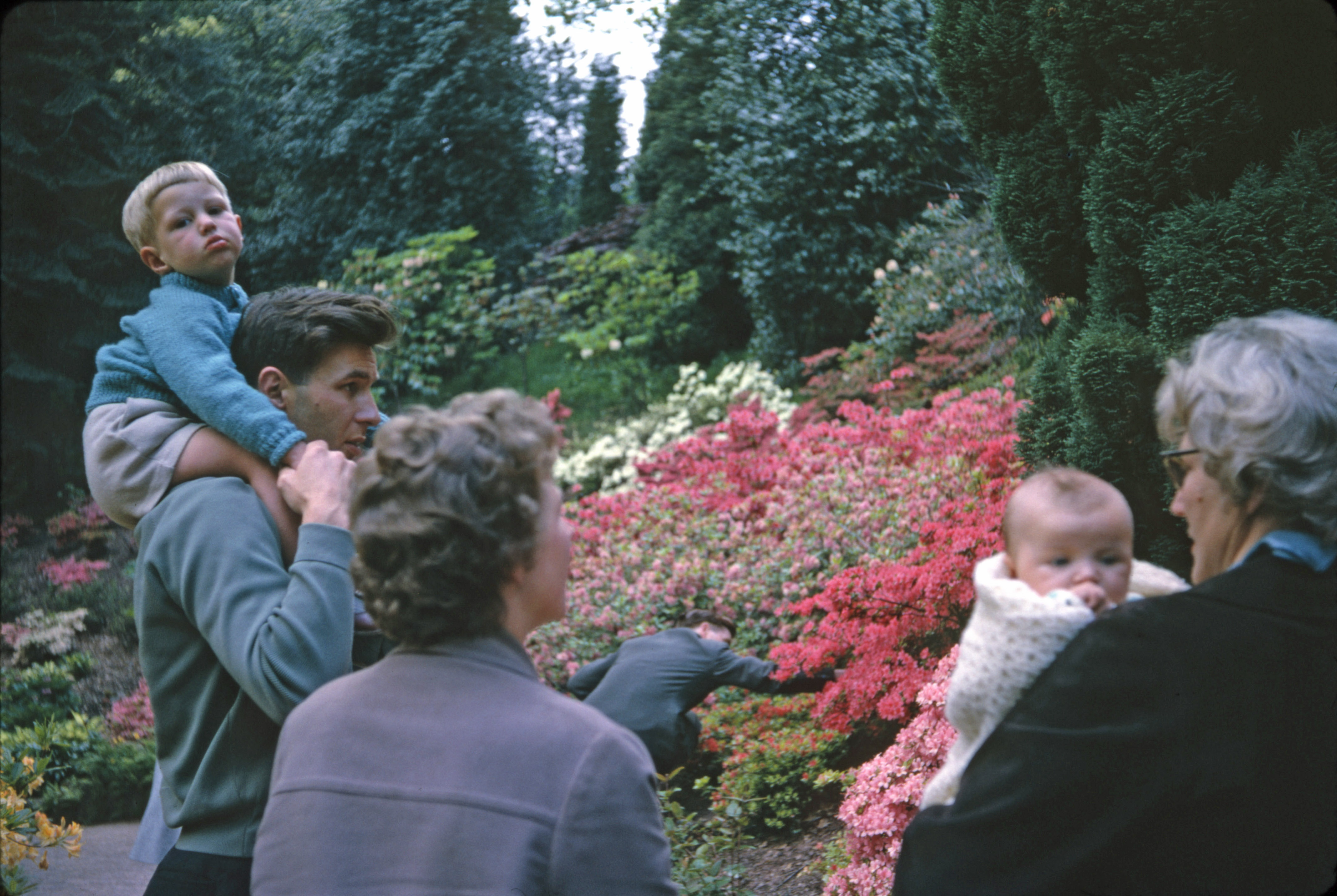 3 June 1962 The family at Cefn Onn