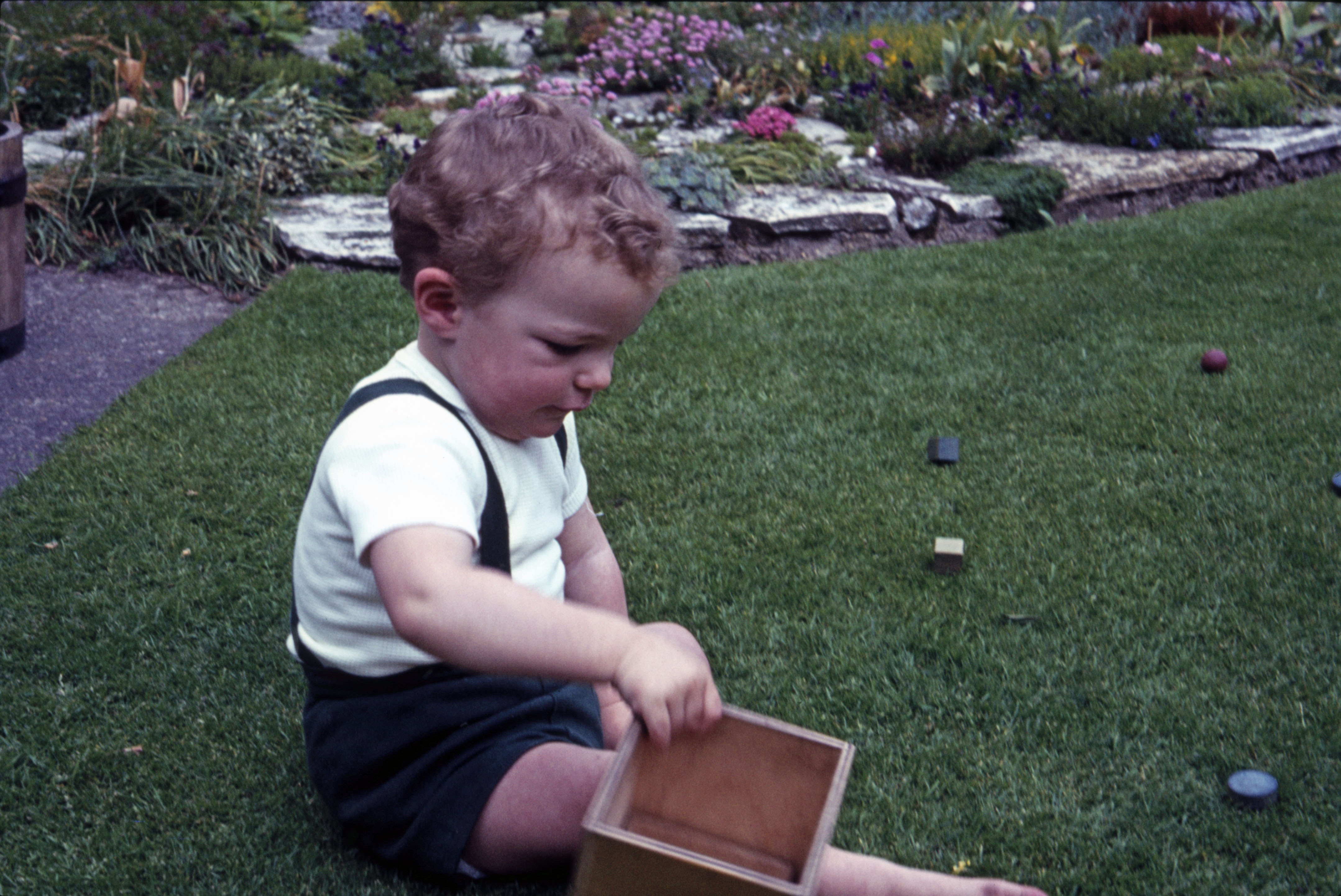May 1965 Simon