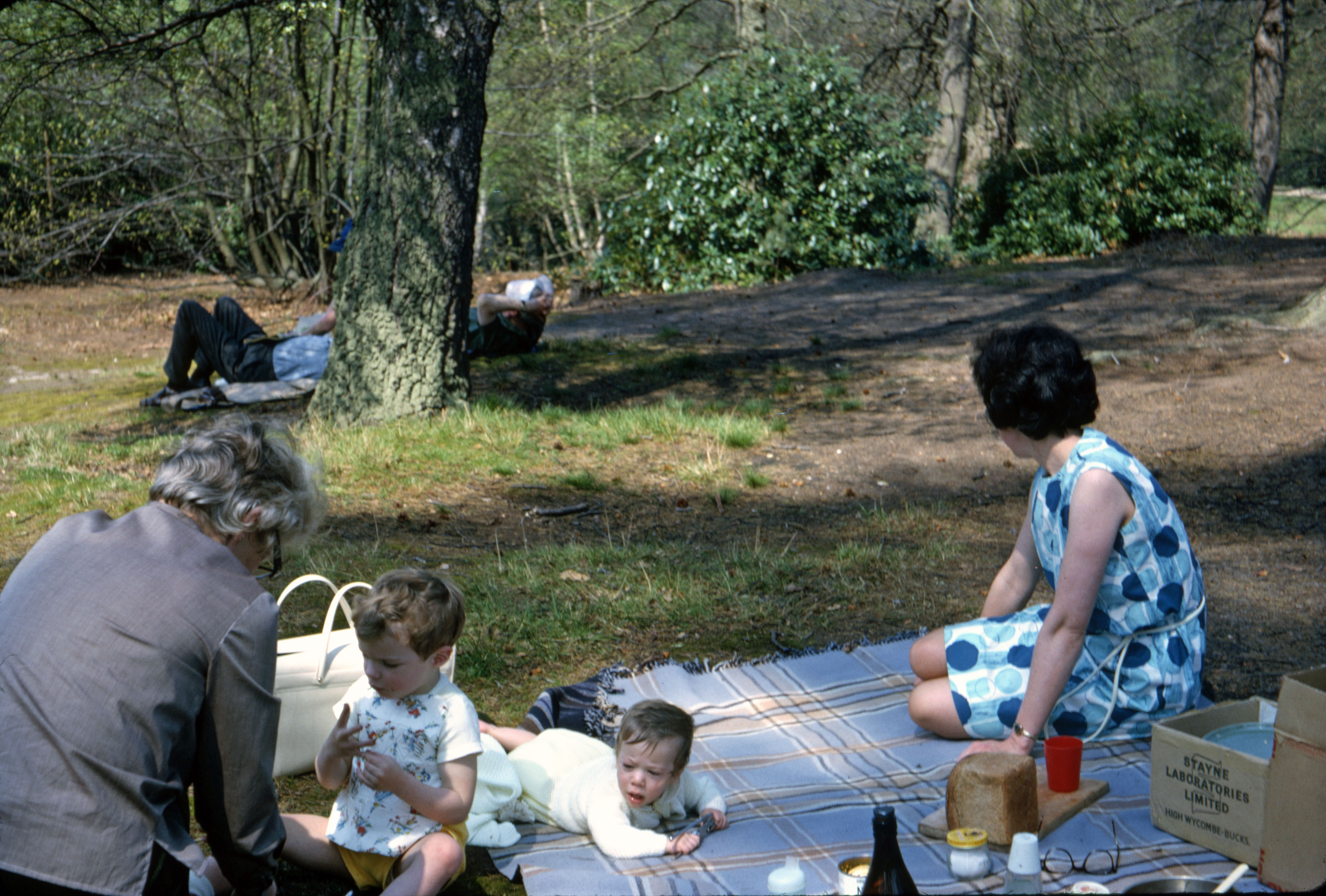11 Apr 1966 A family picnic in Virginia Water