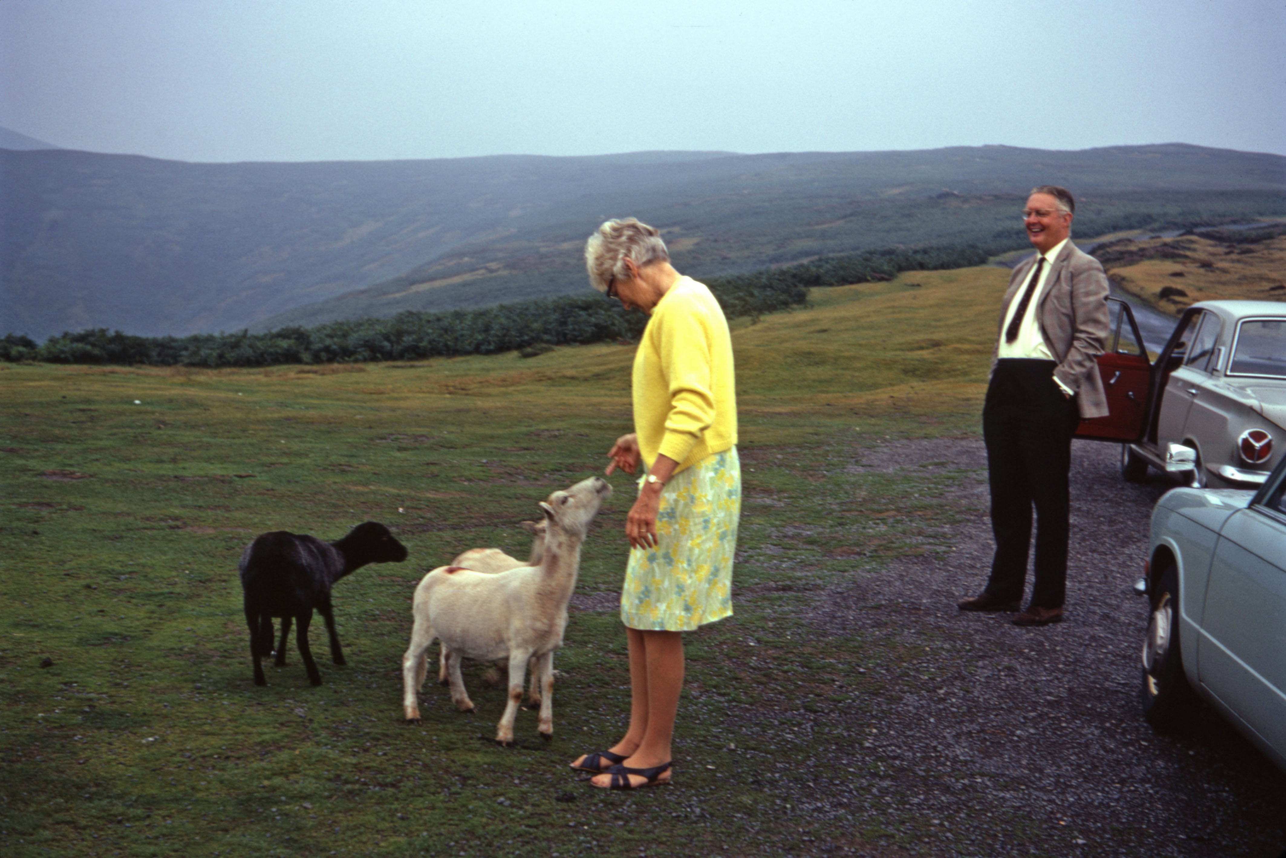 13 Aug 1969 Joan & Fred with the sheep at Long Mynd after Edward's wedding