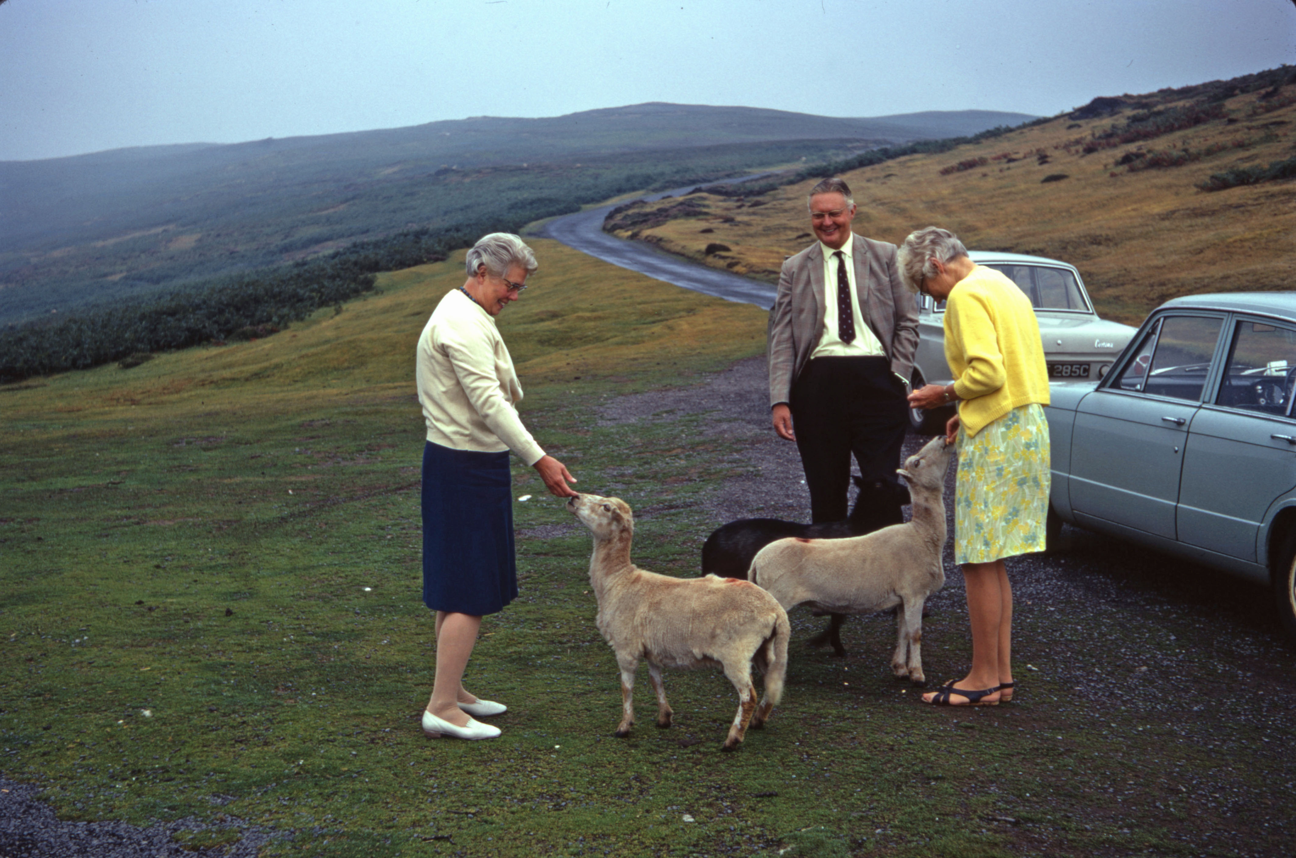 13 Aug 1969 Steve, Fred and Joan feeding the sheep at Long Mynd, Shropshire after Edward's wedding.