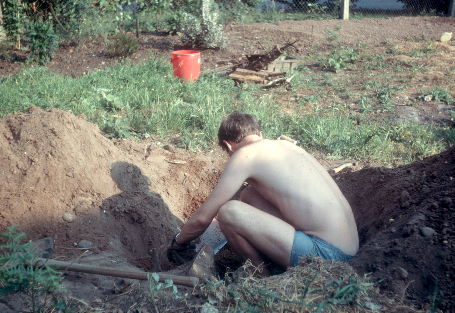 7001932k May 1970 - Mum paid for us to have a large sycamore tree in the garden removed. Here Malcolm is trying to dig out the stump!